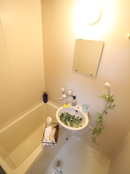 洗面 マイム桜上水