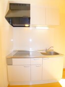 キッチン グリ－ンWillow