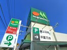 マルエツ(スーパー)まで750m グリ－ンWillow