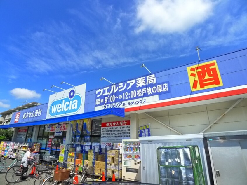 ウェルシア(ドラッグストア)まで880m グリ－ンWillow