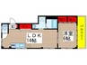 ＫＯＭＩＹＡ　ＨＡＩＴＵ 1LDKの間取り