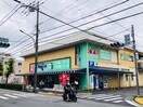 ウェルパーク　小金井緑町店(ドラッグストア)まで450m 竹田ハウス Ｂ棟