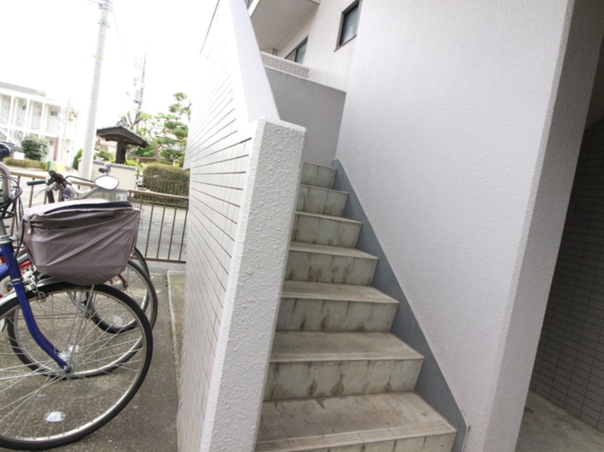 その他 サルドセジュ－ル