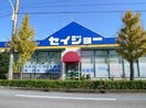 セイジョー(ドラッグストア)まで150m La maison ABACA A