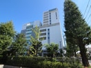 私立亜細亜大学(大学/短大/専門学校)まで574m メゾン東桜