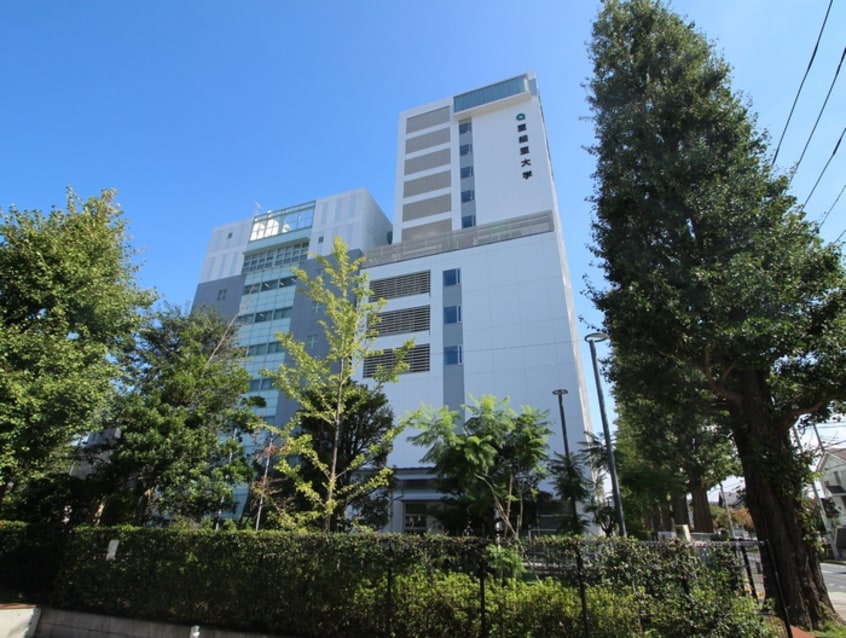 私立亜細亜大学(大学/短大/専門学校)まで574m メゾン東桜