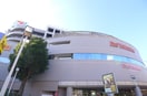 イトーヨーカドー(ショッピングセンター/アウトレットモール)まで1730m 栄進ハイツ