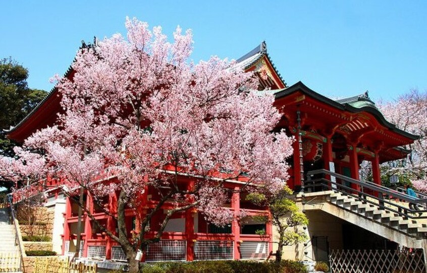 目黒不動尊(公園)まで324m Ｌａ　Ｍｉａ　Ｃａｓａ