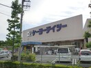 ケーヨーデイツー 唐木田店(電気量販店/ホームセンター)まで797m ロイヤルレジデンス