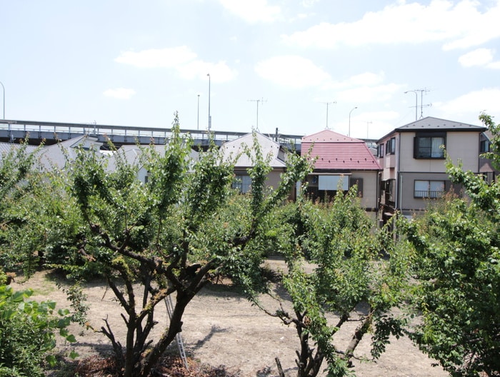 室内からの展望 メゾンドトゥエンティスリー