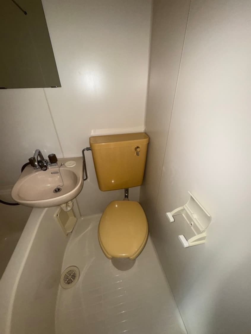 トイレ デアベルクハイム