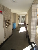 建物設備 Ｍ１桜上水