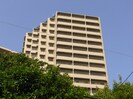 小石川パ－クタワ－の外観