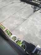 室内からの展望 ライトハイム