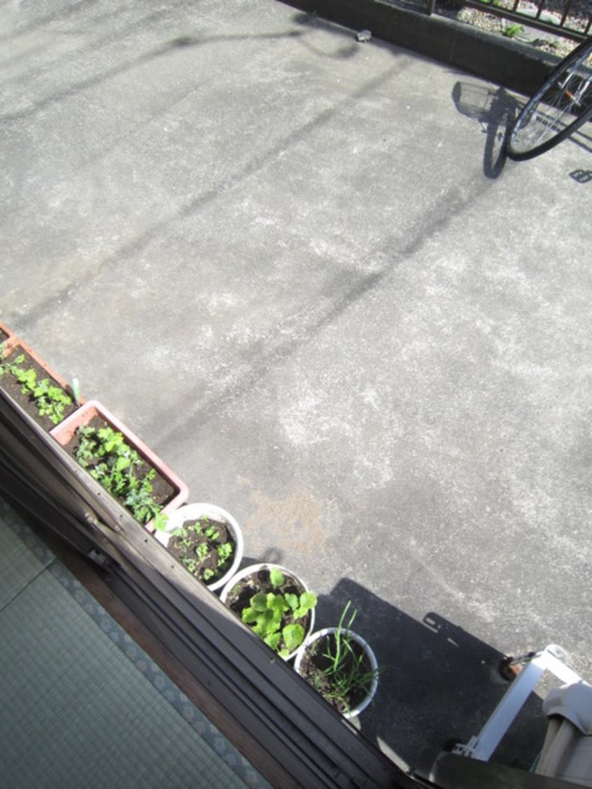 室内からの展望 ライトハイム