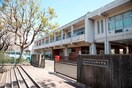 横浜市立いずみ野中学校(中学校/中等教育学校)まで71m アイビーⅠ