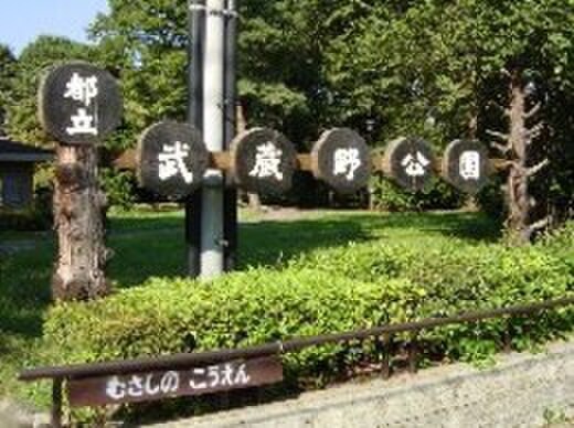 武蔵野公園(公園)まで1740m ヴェスパ