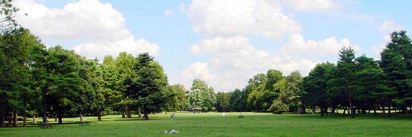 野川公園(公園)まで1000m ヴェスパ