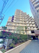 朝日プラザ東池袋(218)の外観