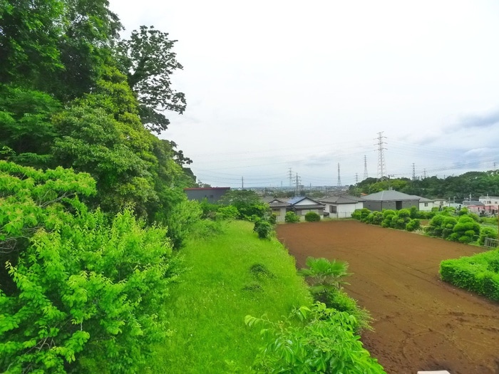 室内からの展望 コスモスハイツ