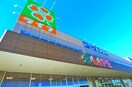 ライフ(スーパー)まで160m コンコードⅡ