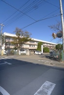 蓮田中央小学校(小学校)まで330m 堂山マンション