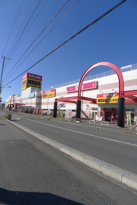 ＭＥＧＡ・ドンキホーテ(スーパー)まで730m 堂山マンション