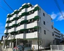 スカイコート綱島第２(413)の外観