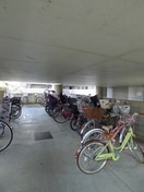 駐輪場 エリセオ