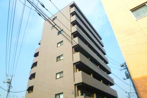 ルーブル王子(303)