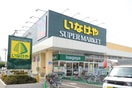 いなげや小金井本町店(スーパー)まで250m パークアベニューエステイン