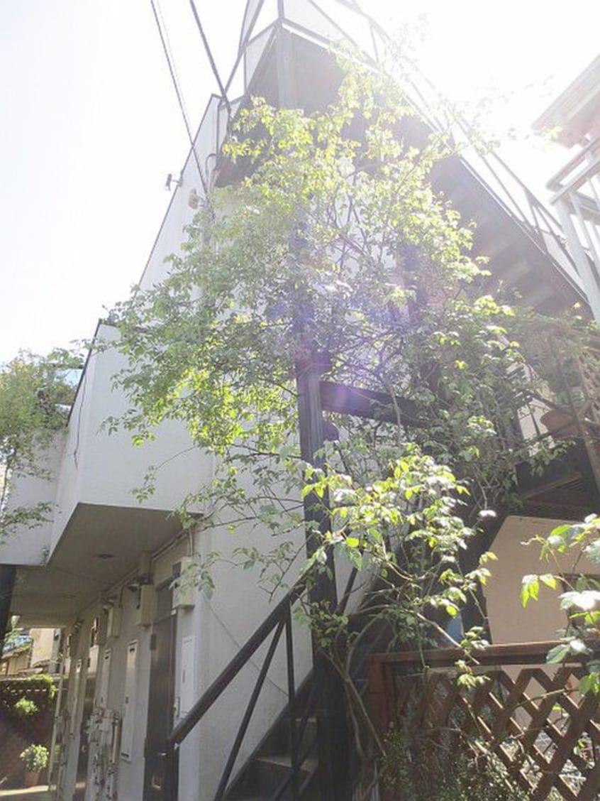 外観写真 CEDREL