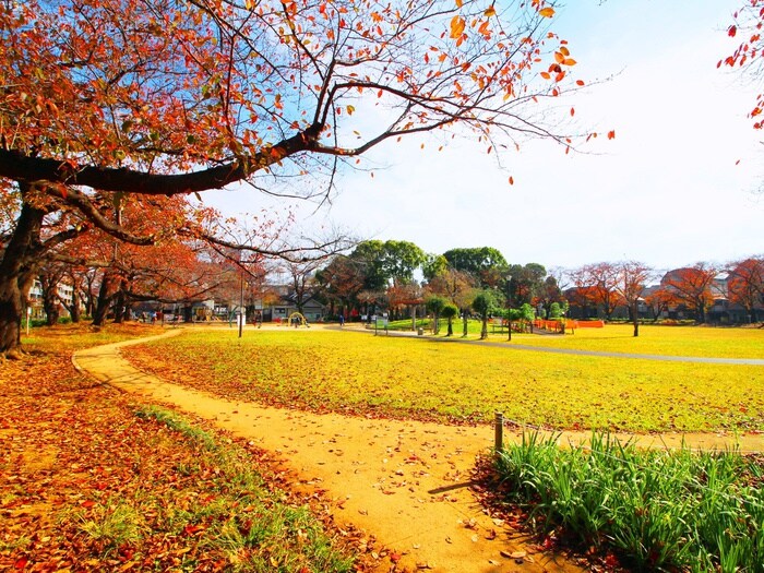 花畑公園(公園)まで649m コ－ポ高井