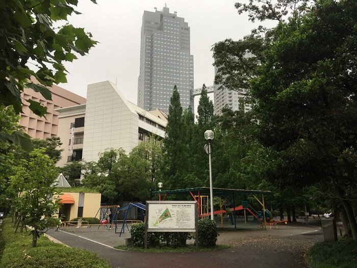 あかつき公園(公園)まで488m ﾗｲｵﾝｽﾞﾌｫｰｼｱ築地ｽﾃｰｼｮﾝ