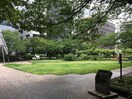 築地川亀井橋公園(公園)まで414m ﾗｲｵﾝｽﾞﾌｫｰｼｱ築地ｽﾃｰｼｮﾝ