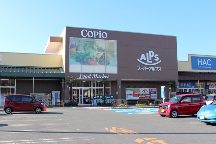 スーパーアルプス 楢原店(スーパー)まで1300m メゾン新川口　西棟