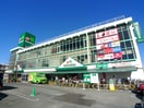 マルエツ朝霞店(スーパー)まで288m ペアーパレス