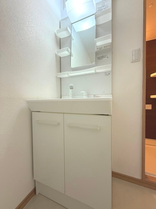 洗面 フルール谷在家Ⅰ