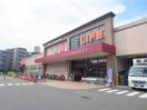 ライフ大倉山店(スーパー)まで556m サンテラス大倉山