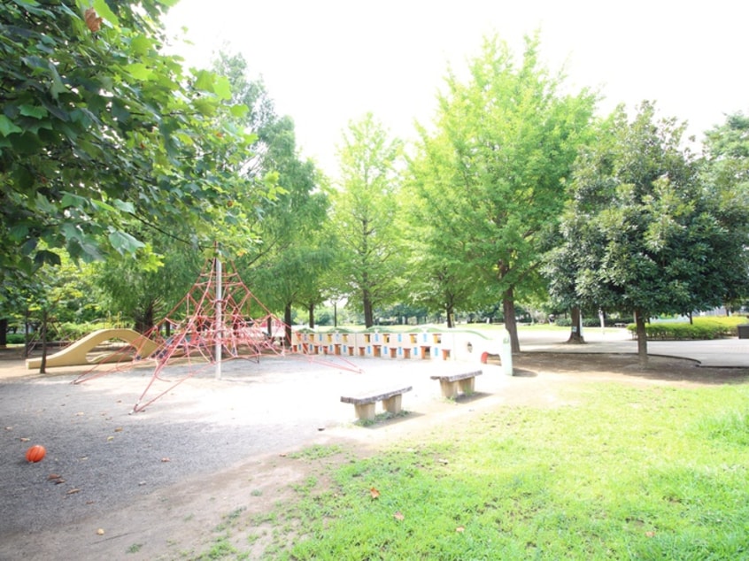 西中央公園(公園)まで360m サンライズ雪平