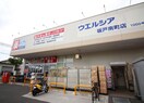 ウエルシア坂戸南町店(ドラッグストア)まで190m シティパレス緑町