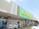 いなげや鶴ヶ島店(スーパー)まで950m シティパレス緑町