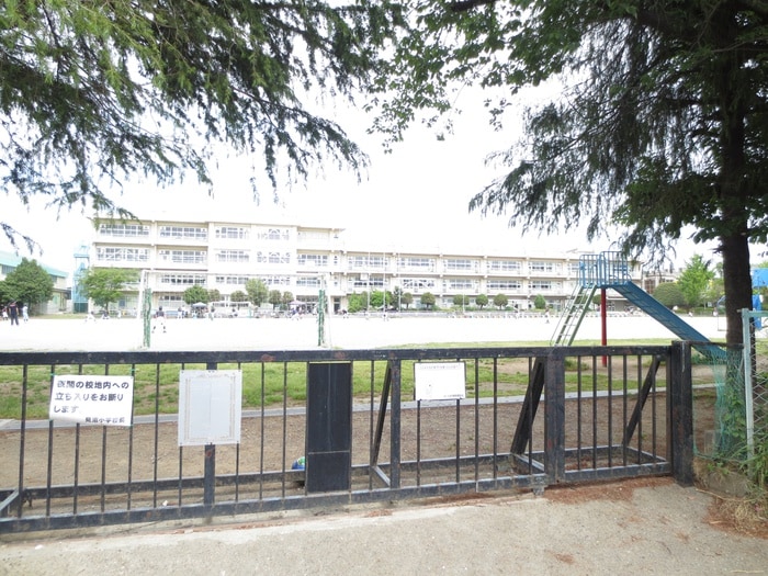 見沼小学校(小学校)まで300m コルテ－ジュ