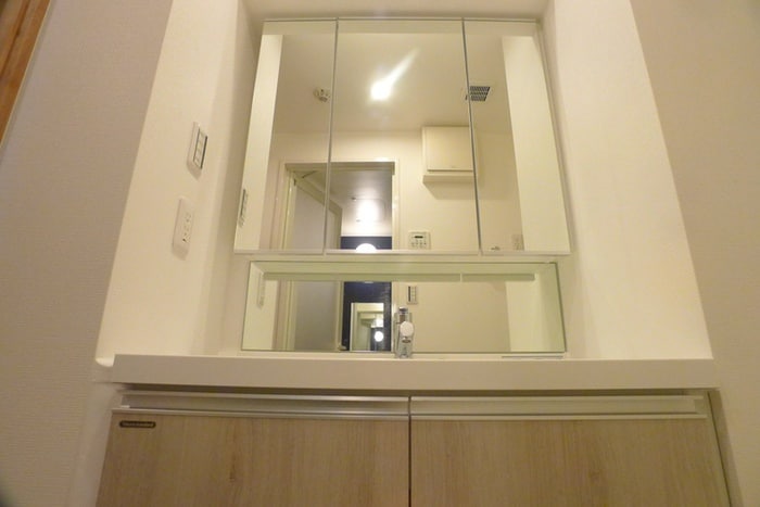 洗面 ﾃｨﾓｰﾈﾌﾟﾚﾐｱﾑ押上ｲｰｽﾄ