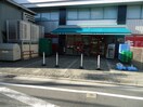 まいばすけっと 北沢4丁目店(スーパー)まで348m アウリン北沢