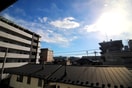 室内からの展望 リトルロックス