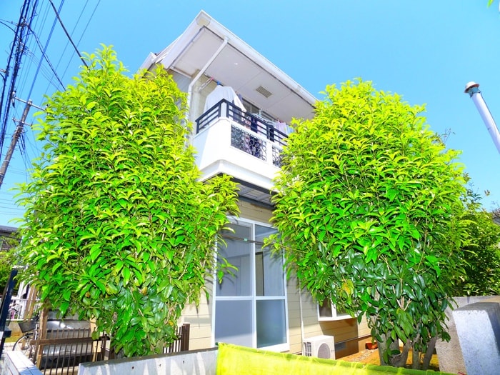 外観写真 サンパレス南柏２番館