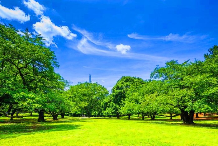 光が丘公園(公園)まで1840m マインドホ－ムズ