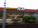ガスト 高幡不動店(その他飲食（ファミレスなど）)まで206m 第１竹見荘
