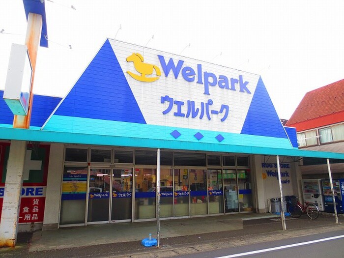 ウェルパーク　福生本町店(ドラッグストア)まで393m 共立リライアンス福生駅前 (101)